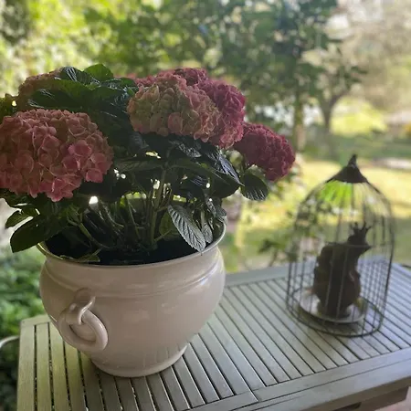 Gasthuis Fontecristina 3*