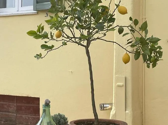 Fontecristina 3* Collebaldo